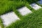 Cement walkway and green grass