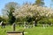 Cementary Church St Andrew, Walberswick UK,