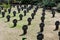 Cementerio Militar Aleman, Cuacos  de Yuste, Spain