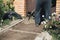 Cementing garden paths on top of metal mesh, construction work in the garden