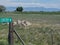 Cemetary sign points to rural graveyard