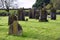 Cemetery of ancient Ireland