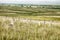 Cemetery And Battlefield At Little Bighorn