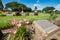 Cemetery blank gravestone christian vitmics with pink flower his