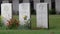 Cemetery at the Canadian National Vimy Memorial, France