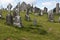 Cemetery at Clonmacnoise monastic site, Shannonbridge, County Of