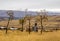 Cemetery in the Country Overlooking Hills and a River