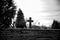 Cemetery crosses behind the wall of the cemetery