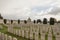 Cemetery fallen soldiers World War I Flanders Belgium