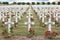 Cemetery First World War soldiers died at Battle of Verdun, Fran