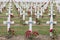 Cemetery First World War soldiers died at Battle of Verdun, Fran