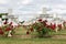 Cemetery First World War soldiers died at Battle of Verdun, Fran