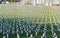 Cemetery of French soldiers from World War 1 in Targette.