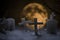 Cemetery and fullmoon