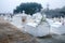 Cemetery at Golden Meadow, Louisiana