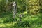 Cemetery in the Golgotha-Crucifix skete