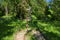 Cemetery in the Golgotha-Crucifix skete at Mount Calvary