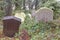 Cemetery grave stones, london