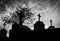 Cemetery or graveyard and dead tree in the night with dark sky and clouds. Silhouette death tree and cemetery. Funeral concept.