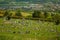 Cemetery graveyard in Stirling town in Scotland