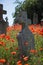 Cemetery headstone with poppies