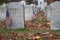 Cemetery headstones of fallen soldiers located in Mountain Grove cemetery in Fairfield, Connecticut