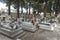 Cemetery Ialysos village Rhodes