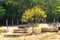 Cemetery on island Ilha Grande, Brazil