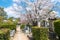 Cemetery at Konkaikomyo-ji Temple in Kyoto, Japan. The Temple originally built in 1175 and also known