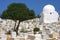 Cemetery in Monastir