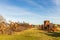 A cemetery of the old rustic pumpjacks in rural Louisiana