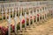 Cemetery outside of the Douaumont ossuary near Verdun France