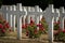 Cemetery outside of the Douaumont ossuary near Verdun France