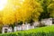 Cemetery in Paris in autumn