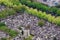 Cemetery in Paris, France.