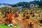 Cemetery & ruined church, San Juan Chamula, Mexico