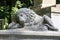 Cemetery sculpture in the shape of a lion, a carved lion in a cemetery, on a tomb