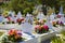 Cemetery in St Barths, Caribbean