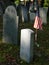 Cemetery: U.S. flag with blank gravestones