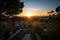 cemetery, with view of sunset, providing a peaceful and tranquil setting