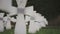 Cemetery of white military crosses 2