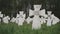 Cemetery of white military crosses