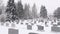 Cemetery in Winter Pan