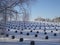 Cemetery in winter with rows of dark tombstones