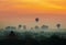 Cenic sunrise with many hot air balloons above Bagan in Myanmar