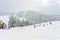 cenic view of small people play ski in snow mountain,Washington,USA.