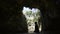 Cenote cave adventure in Tulum