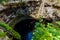 Cenote San Lorenzo Oxman near Valladolid, Yucatan, Mexico. Swimming and relaxing in deep turquoise clear water.