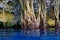 Cenote sinkhole in rainforest mayan jungle