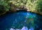 Cenote sinkhole in rainforest mayan jungle